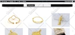 develop wordpress ecommerce website