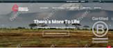do squarespace website design or redesign for business and brand growth