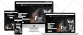 do professional shopify website development and store design