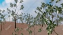 create a realistic 3d environment for you in blender
