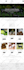design a professional wordpress website