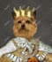 do a custom renaissance royal pet portrait to oil painting