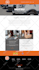 design, develop a professional, SEO optimized wordpress website