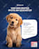 design professional facebook, instagram, ads, and any social media design