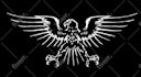 redraw,recreate,resize,upgrade,redo,edit,rework,copy, duplicate, enhance logo