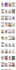 build squarespace website design, website development as a squarespace expert