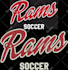 do embroidery digitizing logo, digitize image for embroidery design to dst file