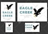 design or redesign and redraw, recreate, fix, modify, update your existing logo