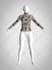 make 3d fashion garments in clo 3d and marvelous designer
