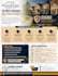do illustrated graphic design, flow chart, infographic design
