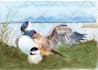 draw cute birds in watercolors