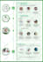 design premium marketing infographic, roadmap or flowchart