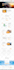 convert psd, xd, figma to wordpress using elementor