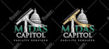 design professional business flyer, event flyer and poster