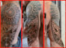 customize your chest, sleeve or back tattoo in mandala style