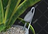 provide 3d modeling and product design services, cad print