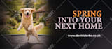 design high converting linkedin banner and cover