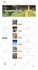 create wordpress elementor website design, redesign and development