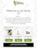 setup shopify shipping and tax, domestic and international shipping and tax