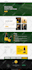 do wordpress website design, redesign, and development