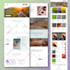build wordpress website development for your business