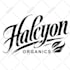 design hand lettering typography calligraphy logo