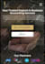 fix wordpress website mobile responsive issues and fix wordpress errors