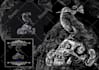 draw a metal dark art illustration freehand for album cover