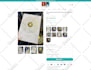 design shopify store from scratch or clone shopify store