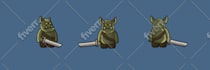 animate your 2d game character in spine pro