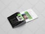 design email marketing and newsletter on strippo