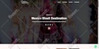 design and develop a responsive business wordpress website