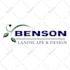 recreate your logo professionally