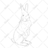 draw pet portrait in line art style