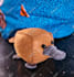 make you a cube platypus