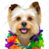 draw vector pet illustrations from photos