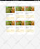 design develop or create wordpress landing page and website by elementor pro