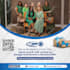 do creative business flyer or real estate, food flyer and canva flyer