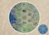 draw fantasy maps for authors and dungeon masters