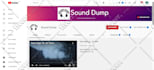 be your youtube video SEO expert and channel growth manager