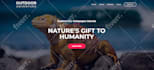 design or redesign responsive wordpress website