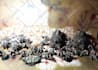 paint your miniatures for reasonable price