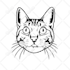 draw your cat,dog,and pet animal line art in 3 hours