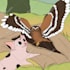 illustrate your childrens book