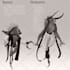 draw  speculative evolution  paleoart and more