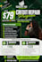 design professional business flyer and poster