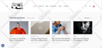 do website development and wordpress plugin development divi expert divi website