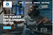 setup wordpress theme,demo import, customization, fix issues
