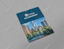 design a professional brochure or flyer
