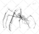 create monster or creature illustration for youu